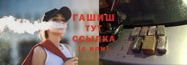 бошки Дубна