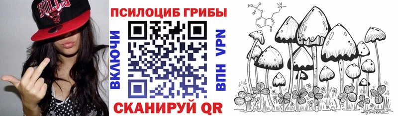 Псилоцибиновые грибы MAGIC MUSHROOMS  Суздаль 